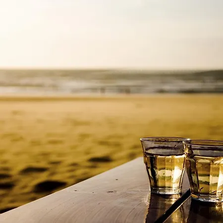 Odyssee Zandvoort